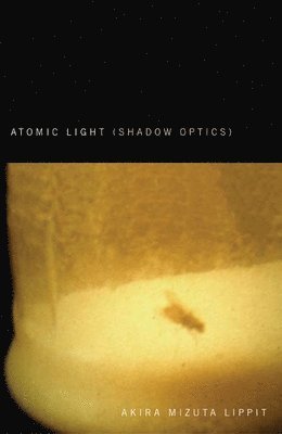 bokomslag Atomic Light (Shadow Optics)