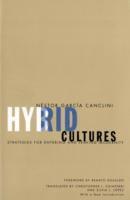 bokomslag Hybrid Cultures