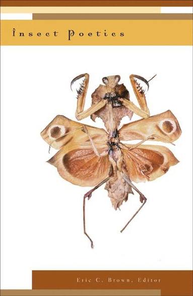 bokomslag Insect Poetics