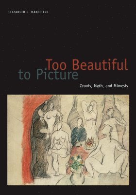 Elizabeth C. Mansfield - Too Beautiful to Picture, Häftad