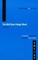 Nicolas Abraham, Maria Torok - Wolf Man's Magic Word, Häftad