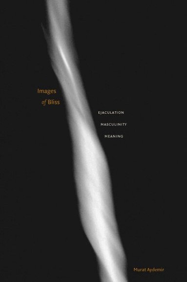 Murat Aydemir - Images of Bliss, Häftad