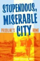 Stupendous, Miserable City 1