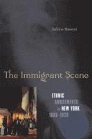 bokomslag The Immigrant Scene