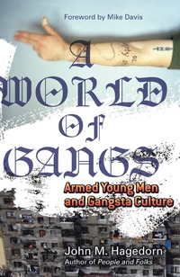 bokomslag A World of Gangs: Armed Young Men and Gangsta Culture