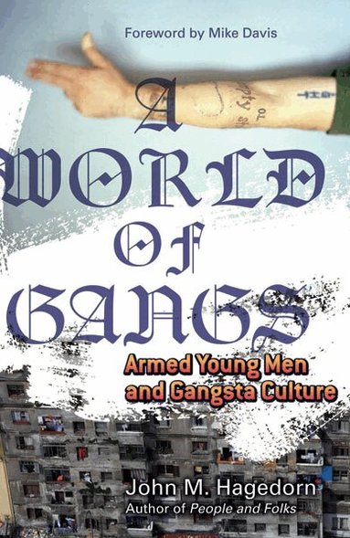 John M. M. Hagedorn - World of Gangs, Häftad