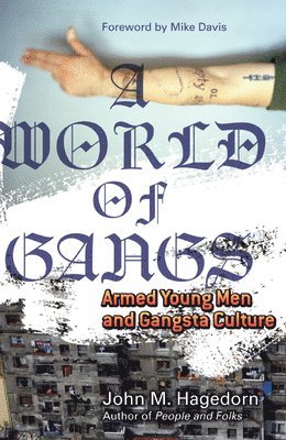 bokomslag A World of Gangs