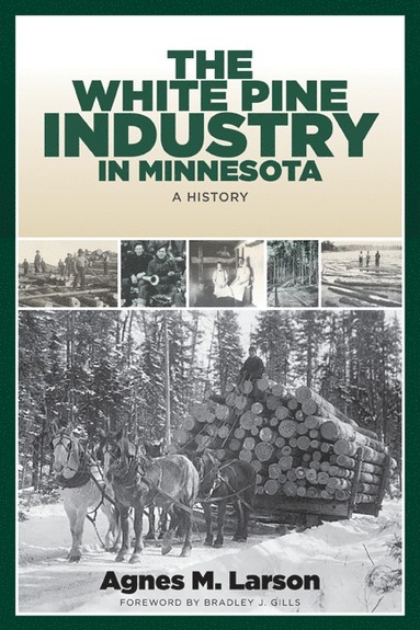 bokomslag White Pine Industry in Minnesota