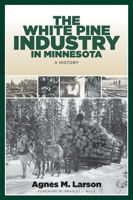 White Pine Industry in Minnesota 1