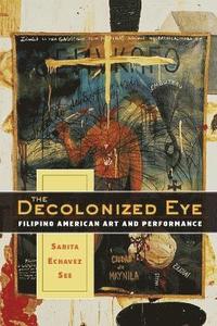 bokomslag The Decolonized Eye