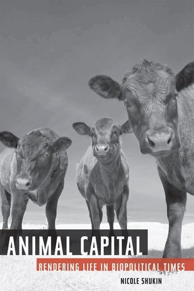 Nicole Shukin - Animal Capital, Inbunden