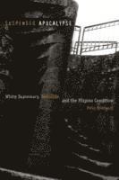 Suspended Apocalypse