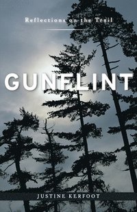 bokomslag Gunflint