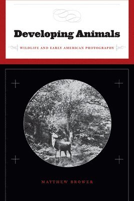 Developing Animals 1