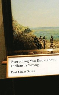 bokomslag Everything You Know About Indians Is Wrong