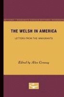 bokomslag Welsh in America