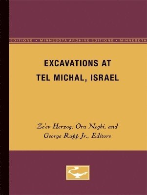 bokomslag Excavations at Tel Michal, Israel