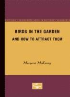 bokomslag Birds in the Garden and How to Attract them