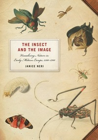 bokomslag Insect and the Image