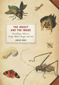 bokomslag The Insect and the Image