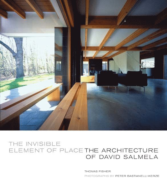 Thomas Fisher - Invisible Element of Place, Häftad