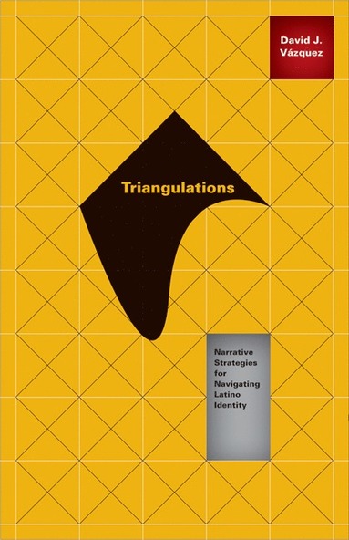 bokomslag Triangulations