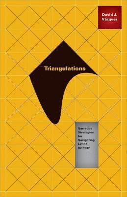 David J. Vázquez - Triangulations, Häftad
