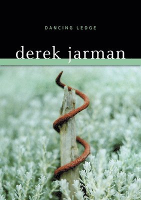 Derek Jarman - Dancing Ledge, Häftad