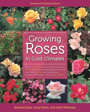 bokomslag Growing Roses in Cold Climates