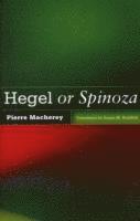 Hegel or Spinoza 1