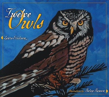 bokomslag Twelve Owls