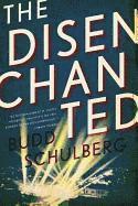 bokomslag Disenchanted