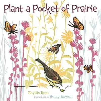 Plant a Pocket of Prairie 1