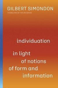 bokomslag Individuation in Light of Notions of Form and Information
