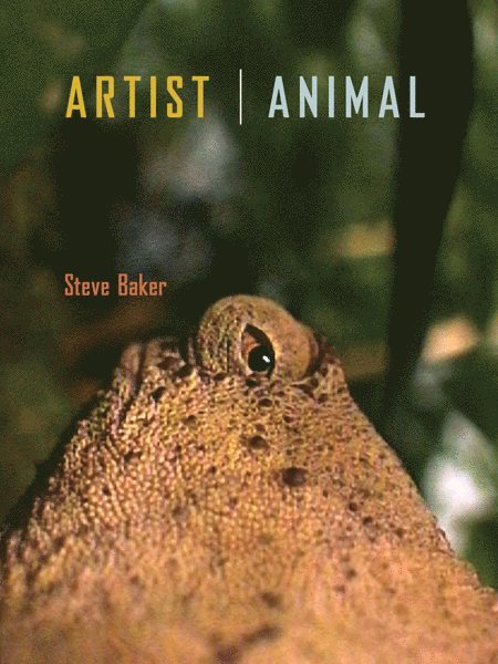 Artist Animal 1