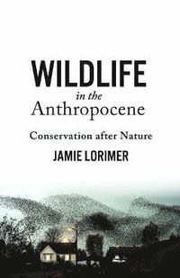 bokomslag Wildlife in the Anthropocene