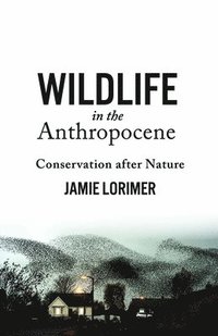 bokomslag Wildlife in the Anthropocene