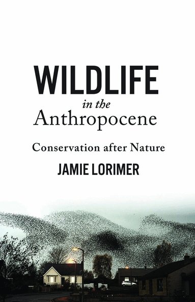 Jamie Lorimer - Wildlife in the Anthropocene, Häftad