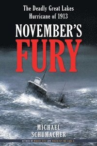 bokomslag November's Fury