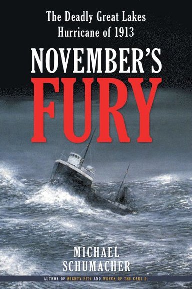 bokomslag November's Fury