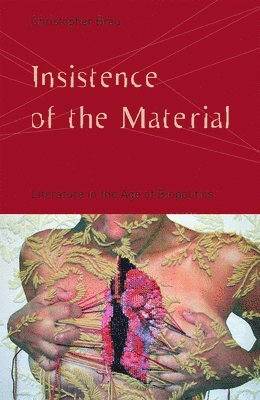 bokomslag Insistence of the Material