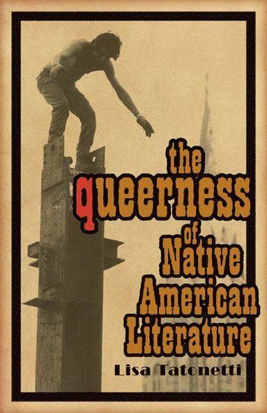bokomslag Queerness of Native American Literature