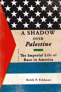 bokomslag A Shadow over Palestine