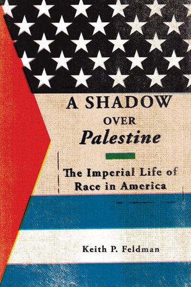 Keith P. Feldman - Shadow Over Palestine, Häftad