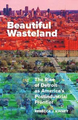 Beautiful Wasteland 1