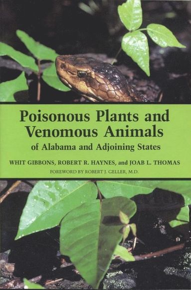 bokomslag Poisonous Plants and Venomous Animals of Alabama and Adjoining States