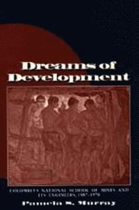 bokomslag Dreams of Development