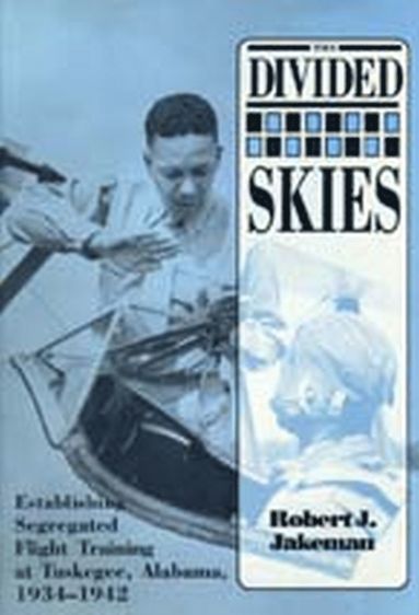 bokomslag Divided Skies