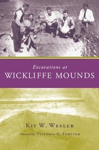 bokomslag Excavations at Wickliffe Mounds