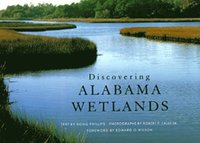 bokomslag Discovering Alabama Wetlands